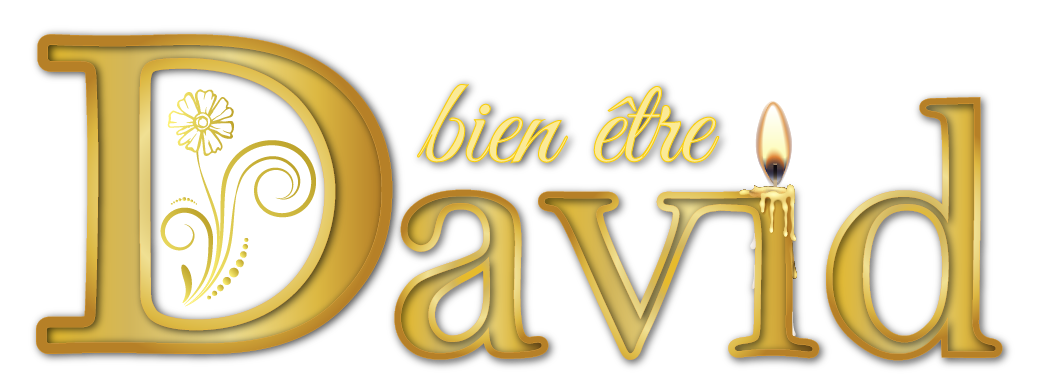 David Bien Être Logo